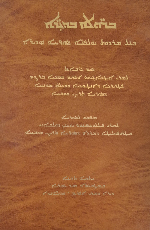 BERULE BDHIRE Historie des Sciences et de la litterature Syriaque (AR)